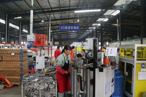 七连冠 渝水区再捧回一大奖 技术咨询